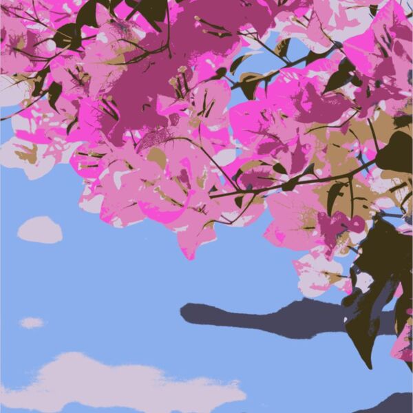 flowerblossoms danielchodusov Thumbnail