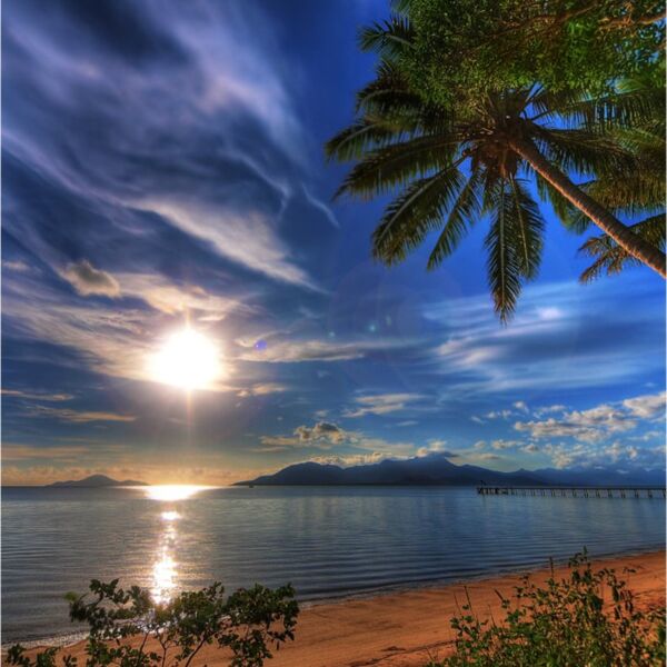 pacificmorning dexxus Thumbnail