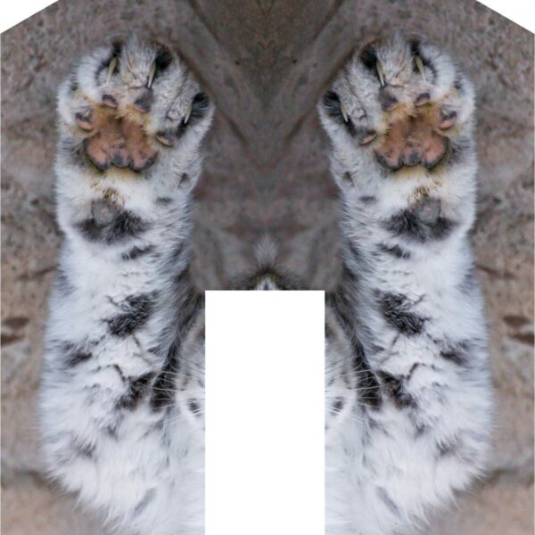 paws snowleopard tambako Thumbnail