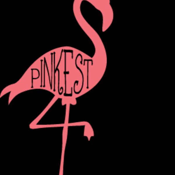 Even The Flamingo SVG Thumbnail