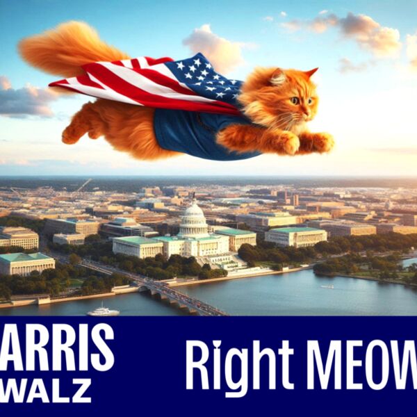 flying cat harris walz 2 Thumbnail