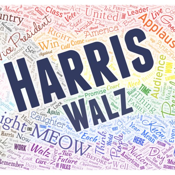 Harris Walz Pride Progress Flag Thumbnail